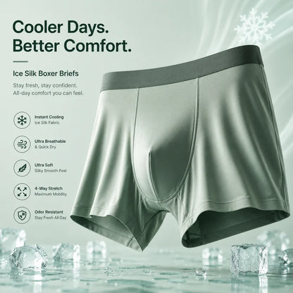 Coolmerixo™️Icy Silk Underwear for Men (Pack of 5)